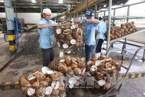 Agro-forestry-fishery exports earn nearly 21 billion USD in 8 months - ảnh 1
